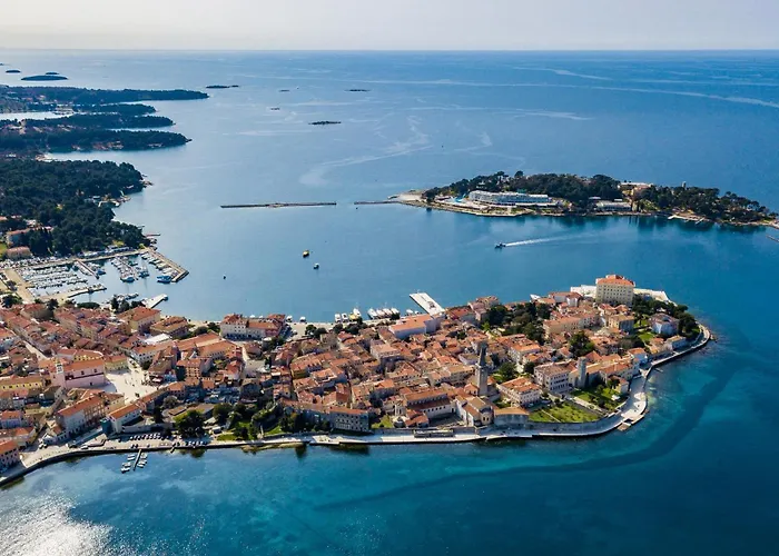 Andrea For 17 People With Private 40 M2 Pool & Pet Friendly Near Poreč